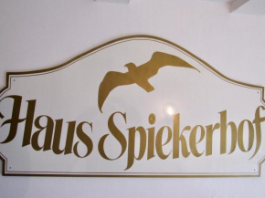 Dak Skea fan Leafde Spiekerhof Whg01